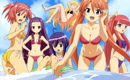 Mahou Sensei Negima! Movie: Anime Final