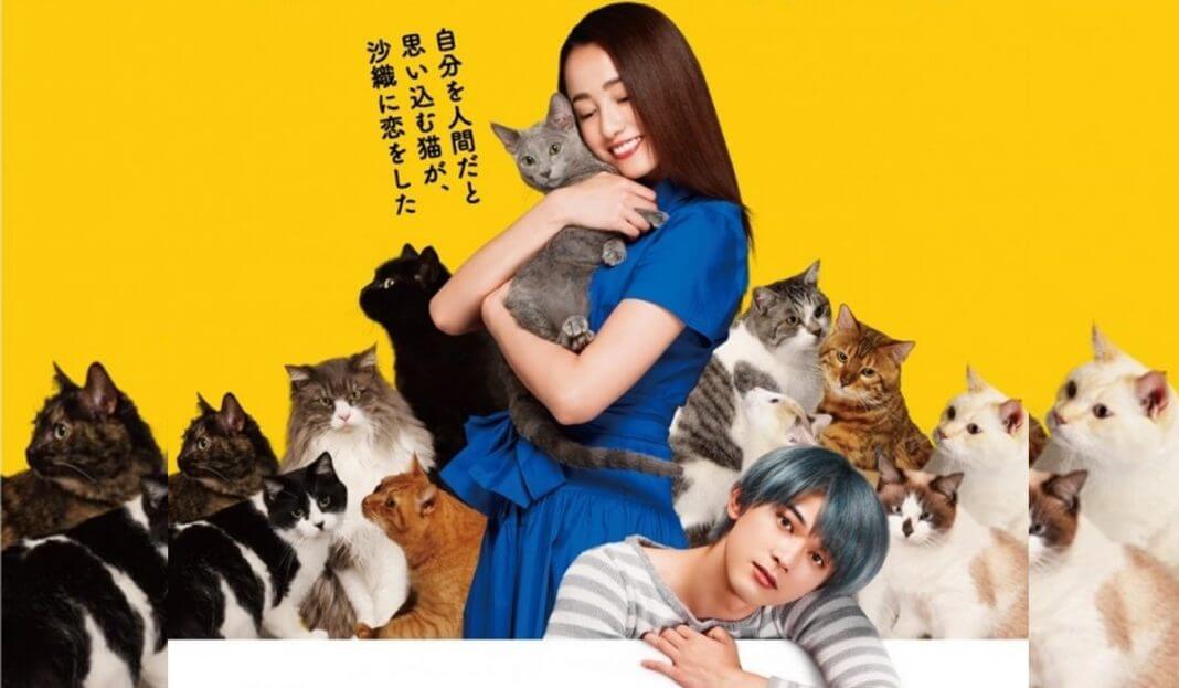 Holding The Cat in Arms